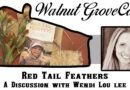 Talking to Wendi Lou Lee about her new book, Red Tail Feathers