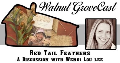 Talking to Wendi Lou Lee about her new book, Red Tail Feathers