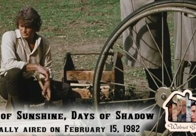 Revisiting Days of Sunshine, Days of Shadow