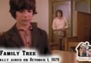 Revisiting The Family Tree