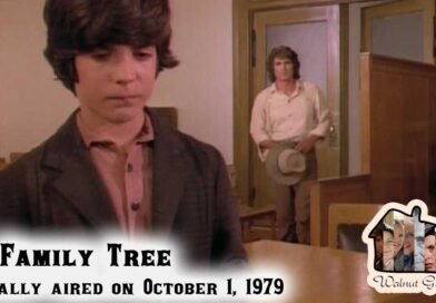 Revisiting The Family Tree