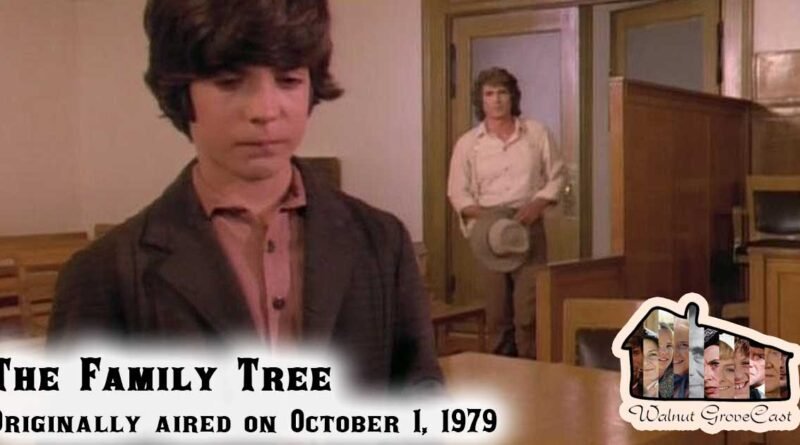 Revisiting The Family Tree