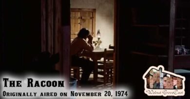 Revisiting The Racoon