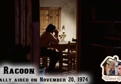 Revisiting The Racoon