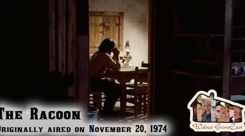 Revisiting The Racoon